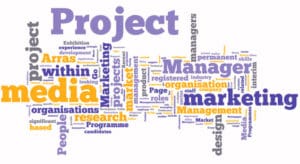 web project management